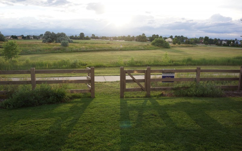 Backyard & Walking Trail